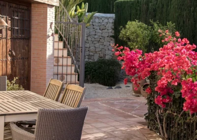 red bourgainvillea